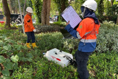 survey_georadar-1